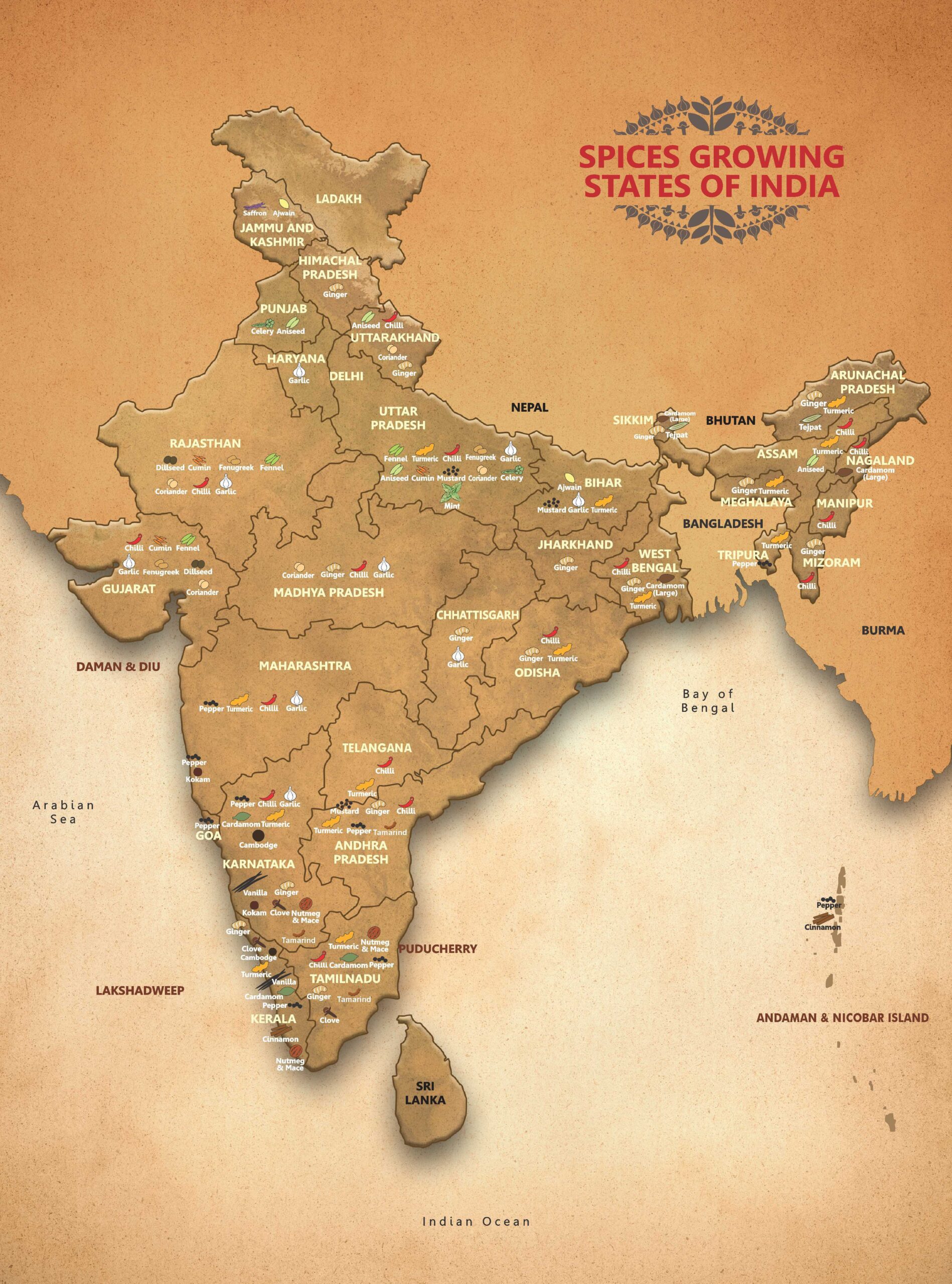 India – The Land of Spices: A Culinary Odyssey