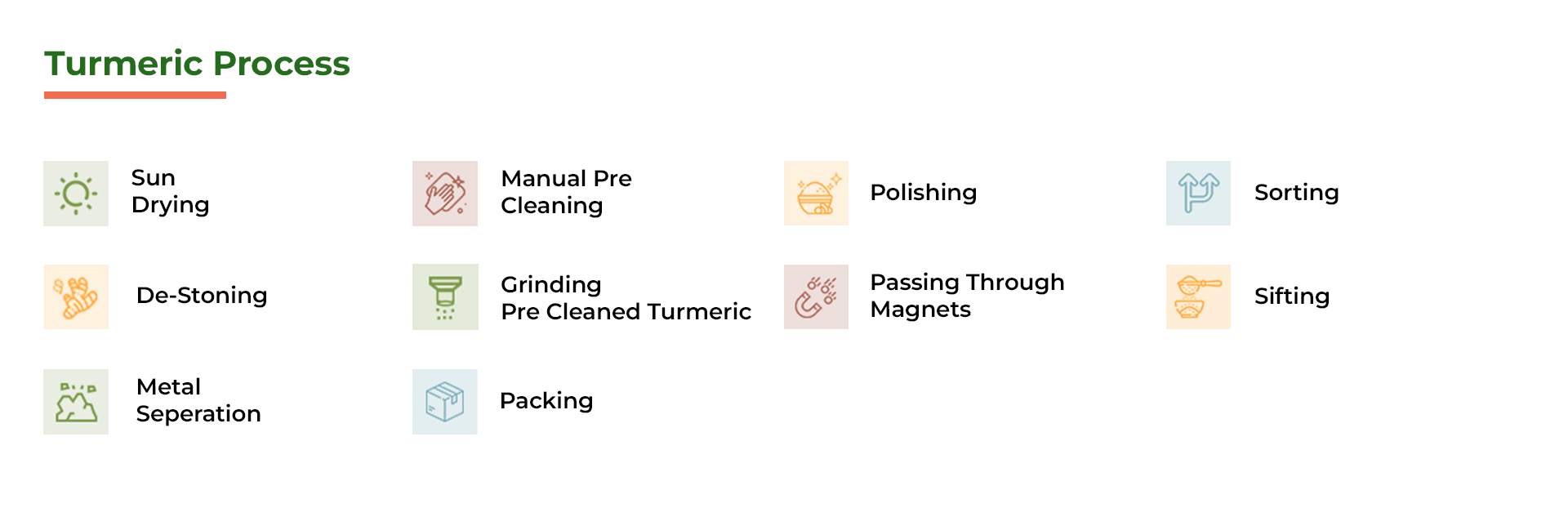 turmeric process
